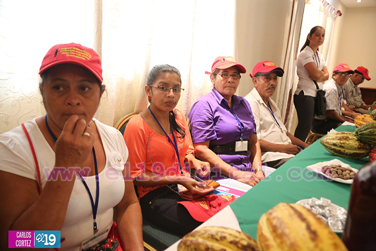 Nicaragua desarrolla Primer Congreso Internacional sobre Producci&oacute;n Sostenible de Cacao Fino